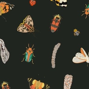 Painted Australian Insects: Butterfly, Bee, Moth, Beetle, Ladybird & Caterpillar / Black / Large