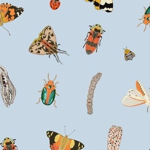 Painted Australian Insects: Butterfly, Bee, Moth, Beetle, Ladybird & Caterpillar / Blue / Large