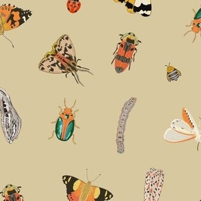 Painted Australian Insects: Butterfly, Bee, Moth, Beetle, Ladybird & Caterpillar / Dark Beige Tan / Large