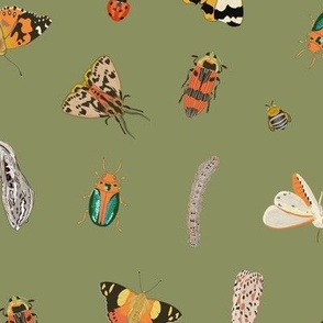 Painted Australian Insects: Butterfly, Bee, Moth, Beetle, Ladybird & Caterpillar / Khaki Green / Large
