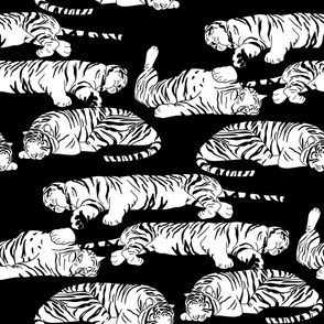 Sleeping Tigers - White on Black 