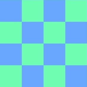 Checkers mint and blue