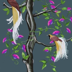 Birds_Of_Paradise_