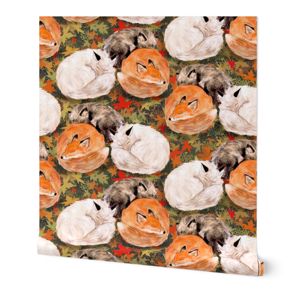 Three Foxes Nap On Autumn Leaves