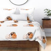 Three Foxes Nap on White for Pillow