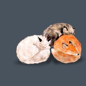 Three Foxes Nap on Blue Gray for Pillow