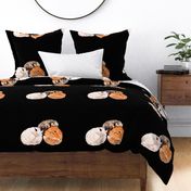 Three Foxes Nap on Black for Pillow