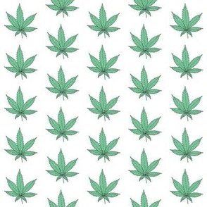 tiny green marijuana leaves