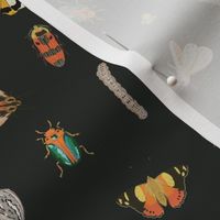 Painted Australian Insects: Butterfly, Bee, Moth, Beetle, Ladybird & Caterpillar / Black / Medium