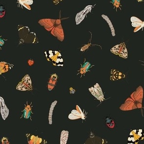 Painted Australian Insects: Butterfly, Bee, Moth, Beetle, Ladybird & Caterpillar / Black / Medium