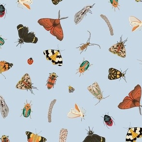 Painted Australian Insects: Butterfly, Bee, Moth, Beetle, Ladybird & Caterpillar / Blue / Medium