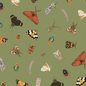 Painted Australian Insects: Butterfly, Bee, Moth, Beetle, Ladybird & Caterpillar / Khaki Green / Medium