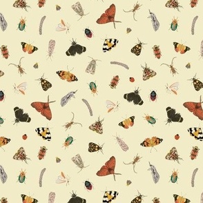 Painted Australian Insects: Butterfly, Bee, Moth, Beetle, Ladybird & Caterpillar / Beige / Small