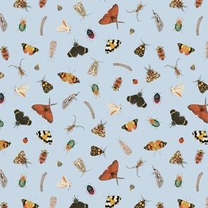 Painted Australian Insects: Butterfly, Bee, Moth, Beetle, Ladybird & Caterpillar / Blue / Small