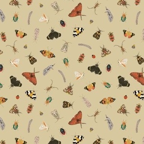 Painted Australian Insects: Butterfly, Bee, Moth, Beetle, Ladybird & Caterpillar / Dark beige / Small