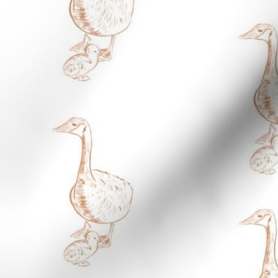 Birds, GOOSE, GOSLING, geese, animals, nature  "JG Anchor Designs", 