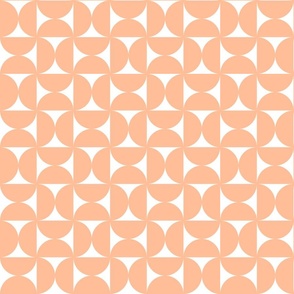 Peach Fuzz pastel Mod Circles
