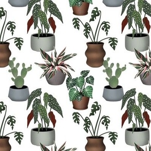 Plant collection on white
