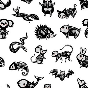 Animal Skeletons Fabric, Wallpaper and Home Decor | Spoonflower