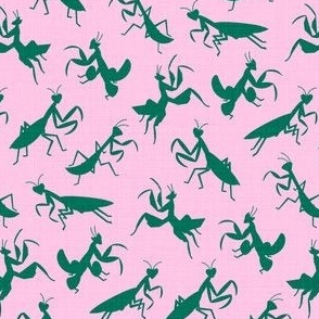 A Simple Assortment of Praying Mantises - Green & Pink