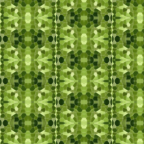 Green Pattern for Sparrow