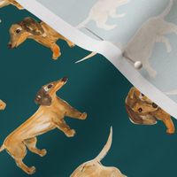 Little dachshund pixie dogs in rows sweet painted boho style watercolors dogs on teal