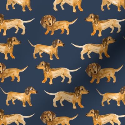 Little dachshund pixie dogs in rows sweet painted boho style watercolors dogs on navy blue night