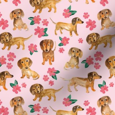 Little dachshunds puppy dogs summer flower garden watercolor illustration classic pink green on bubblegum 