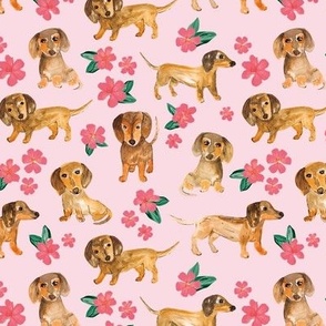 Little dachshunds puppy dogs summer flower garden watercolor illustration classic pink green on bubblegum 
