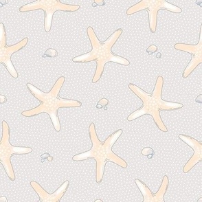 Starfish on a gray background