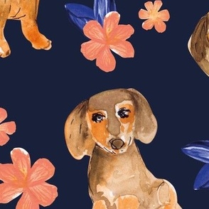 Little dachshunds puppy dogs summer flower garden watercolor illustration classic blue blush pink on navy JUMBO