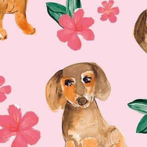 Little dachshunds puppy dogs summer flower garden watercolor illustration classic pink green on bubblegum  JUMBO