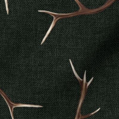 Large Antlers on very dark green