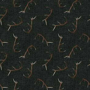 Small Antlers on very dark green