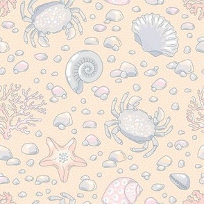 Sea creatures on the shore with pebbles
