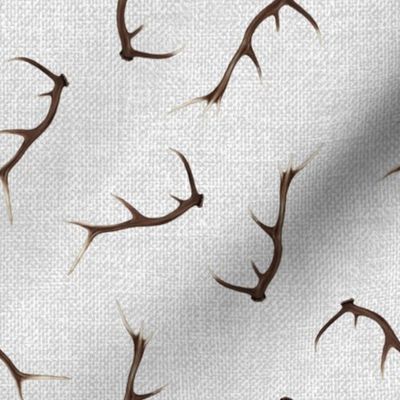 Antlers on textured gray