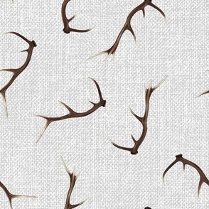 Antlers on textured gray