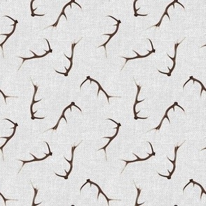 Small Antlers on gray