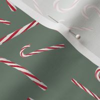 Candy Cane Lane / Willow