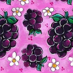 The Dark Berry - blackberries on pink