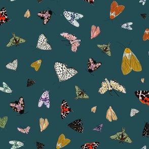 Moths on Dark Teal