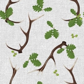 Oak and Antlers on light gray