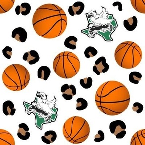 basketball hawks (custom design)