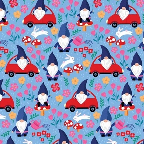 Gnomes in cars