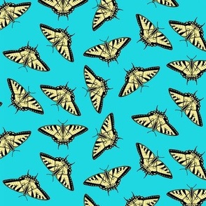 yellow swallowtails in bright aqua blue sky