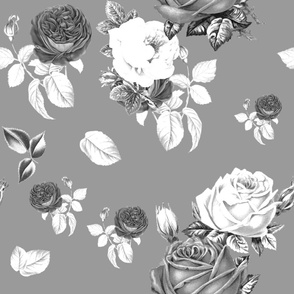 Flowers,roses,grey b
