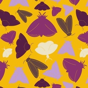 Yellow and Purple Moths