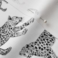 Leopard Parade White with Black and white