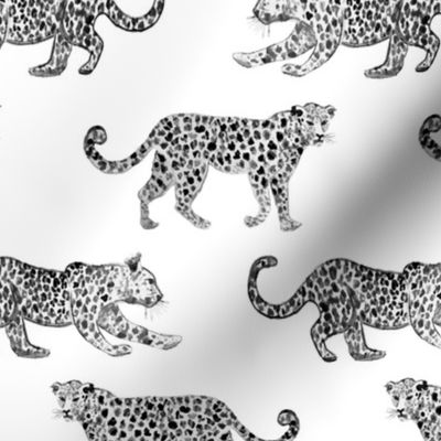 Leopard Parade White with Black and white