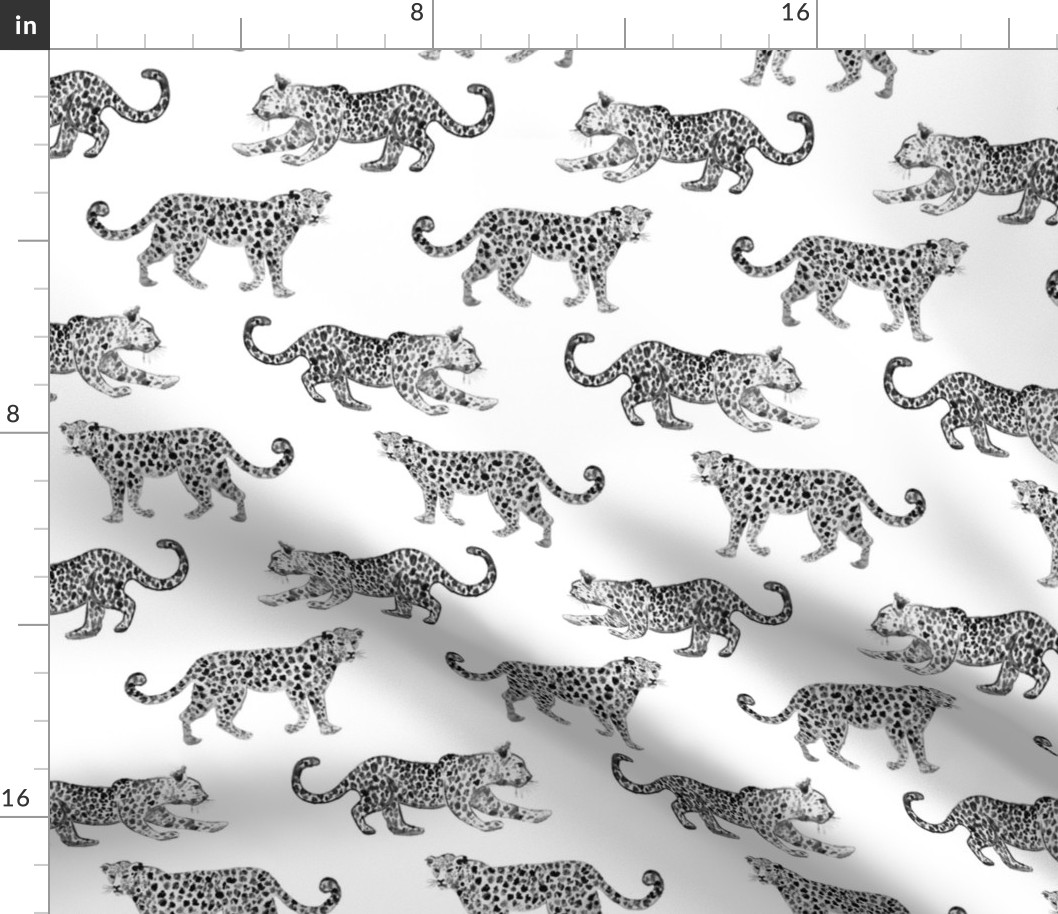 Leopard Parade White with Black and white